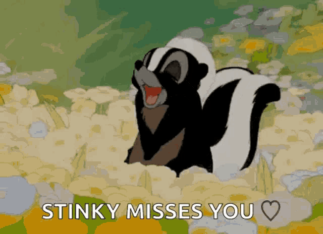 a cartoon skunk is standing in a field of flowers with the words `` stinky misses you '' written below it .