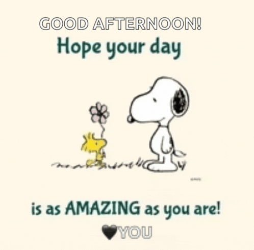 a picture of snoopy and woodstock with the words good afternoon hope your day is as amazing as you are ..