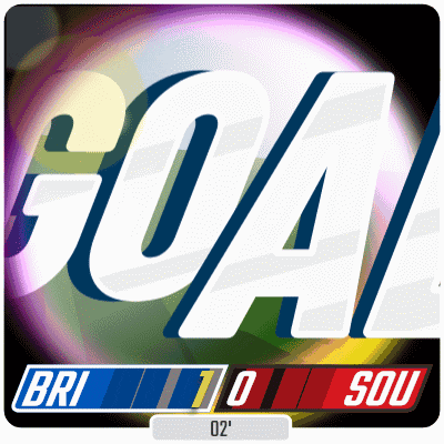 a logo that says goal bri 10 sou 02