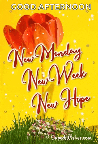 a good afternoon new monday new week new hope