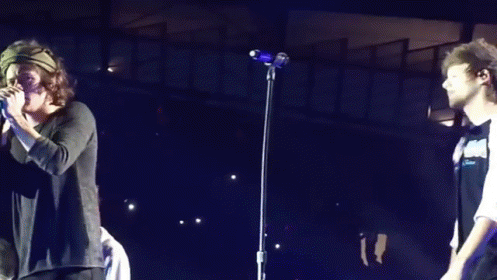 Louis And Harry  GIF - Louis Tomlinson Harry Styles GIFs