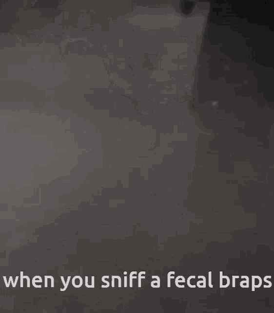 Brap Pirates GIF - Brap Pirates Fart GIFs
