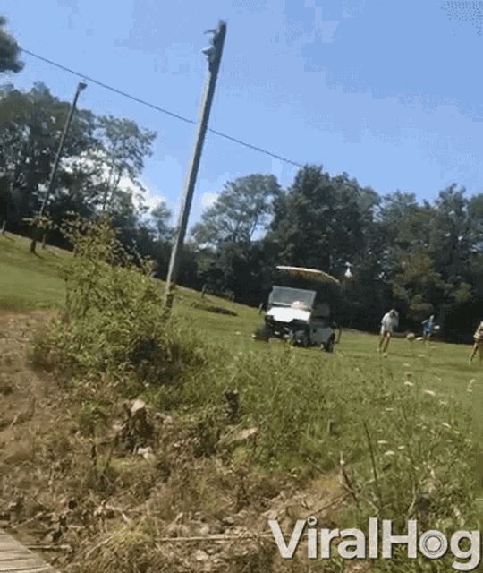 Buggy Accident GIF - Buggy Accident Crashed Into Post GIFs