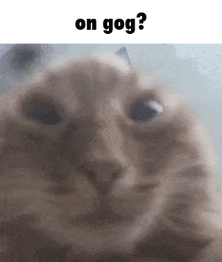 On Gog Cat GIF - On Gog Cat Meme GIFs