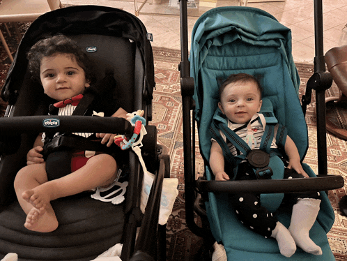 two babies are sitting in stroller with the word chicco on the handle