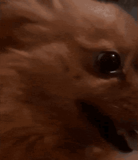 a blurred image of a person 's face with a few spots on it