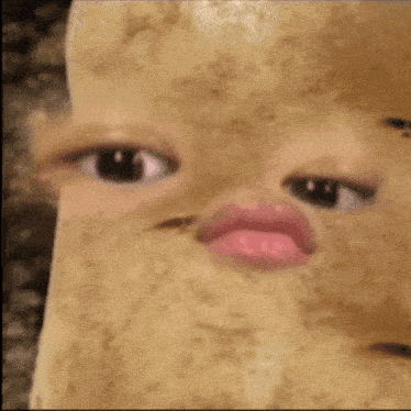 a close up of a person 's face that looks like a tortilla chip