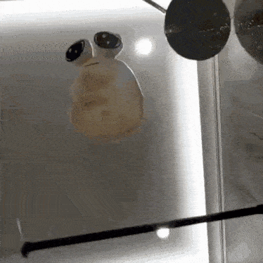 a statue of a frog with big eyes is hanging on a glass wall .