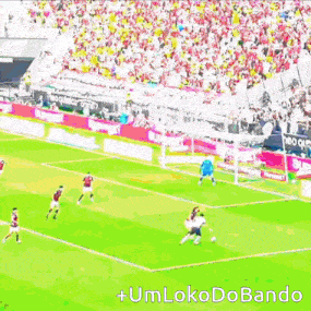 a soccer game is being played in a stadium with a crowd watching