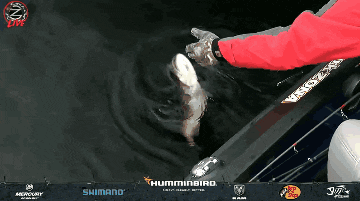a person holding a fish in front of a sign that says ' humminbird '
