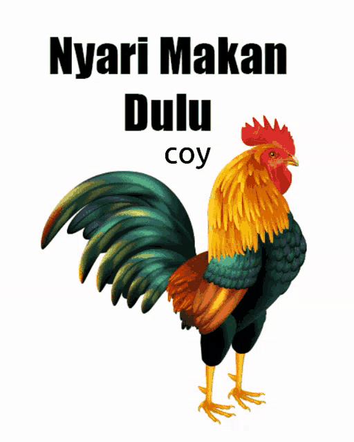 a picture of a rooster with the words nyari makan dulu coy above it