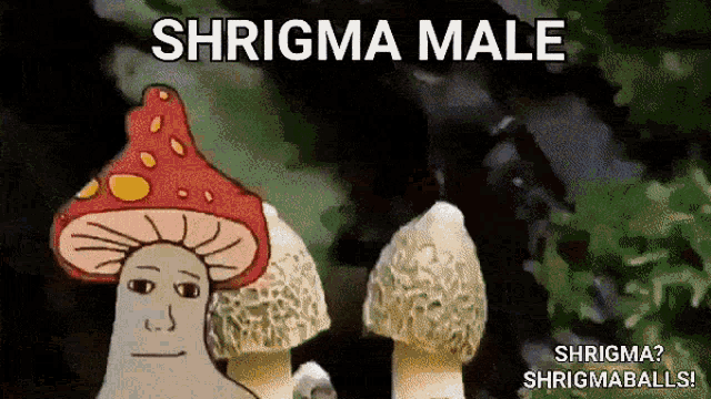 Shroom Fungus GIF - Shroom Fungus Mushroom GIFs