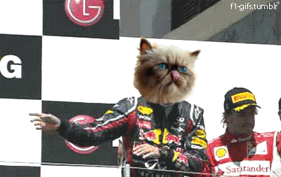 a cat wearing a red bull jacket stands in front of a santander logo