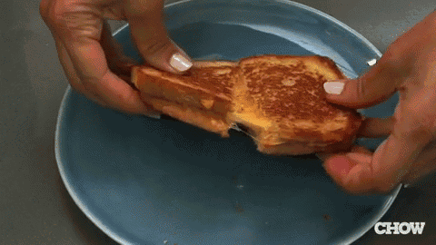 a person is holding a grilled cheese sandwich on a blue plate that says chow on the bottom