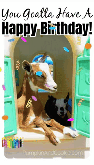 a birthday card with two goats and the words " you goatta have a happy birthday " on it