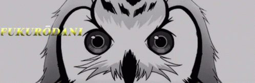 Haikyuu Fukurodani GIF - Haikyuu Fukurodani Owl GIFs
