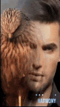 a man with an owl on his head and the word harmony in the corner .