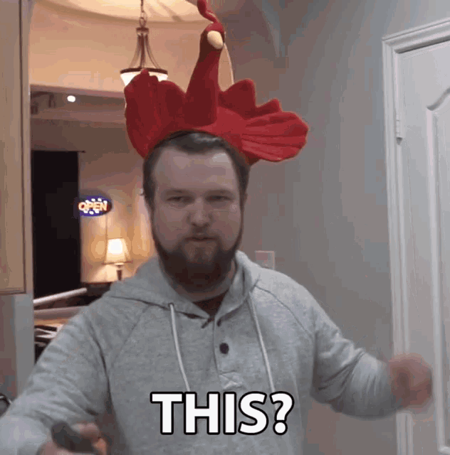 a man with a beard wearing a chicken hat says this