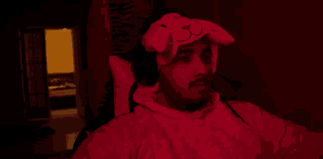 a man wearing a hat with a dog face on it