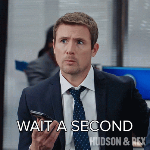 Wait A Second Charlie Hudson GIF - Wait A Second Charlie Hudson Hudson And Rex GIFs