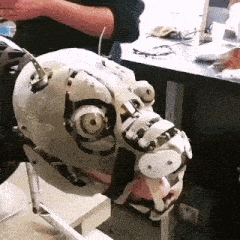 a person is working on a robotic head that looks like a skull .