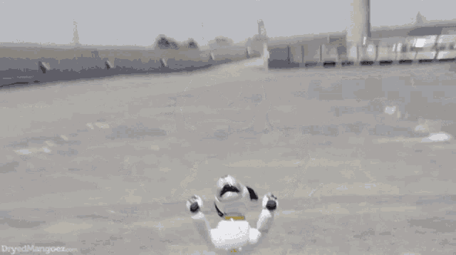 a picture of a robot dog with the words dryedmangoez.com on the bottom right