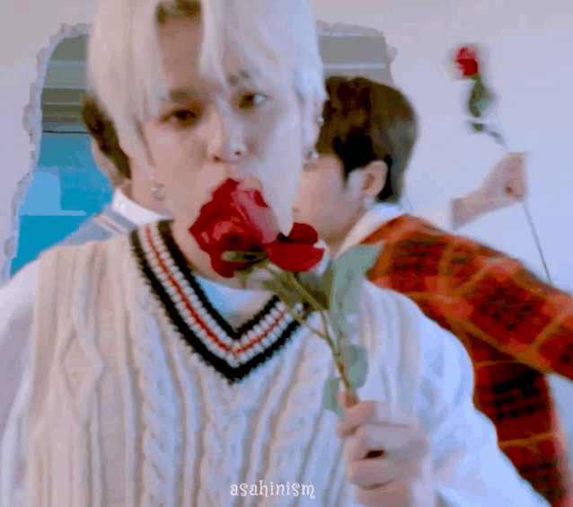 a man in a sweater is holding a red rose in his mouth