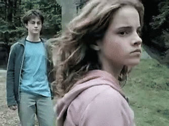 Harry Potter GIF - Harry Potter Hermione GIFs