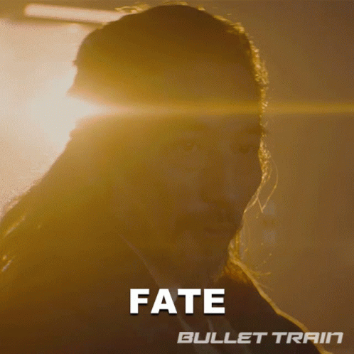 Fate Bullet Train GIF - Fate Bullet Train Destiny GIFs
