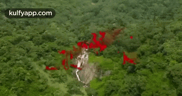 an aerial view of a waterfall in the middle of a lush green forest with the word jungle in red letters .
