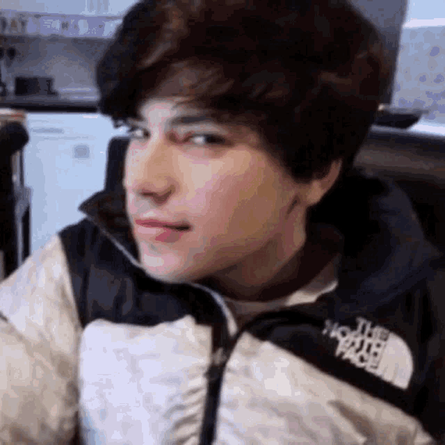 a young man wearing a north face jacket is sitting in a chair looking at the camera .