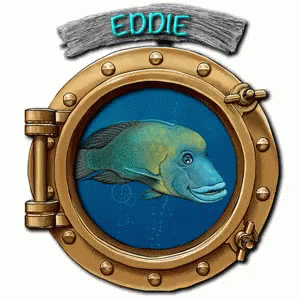 Eddie Eddie Name GIF - Eddie Eddie Name Name GIFs