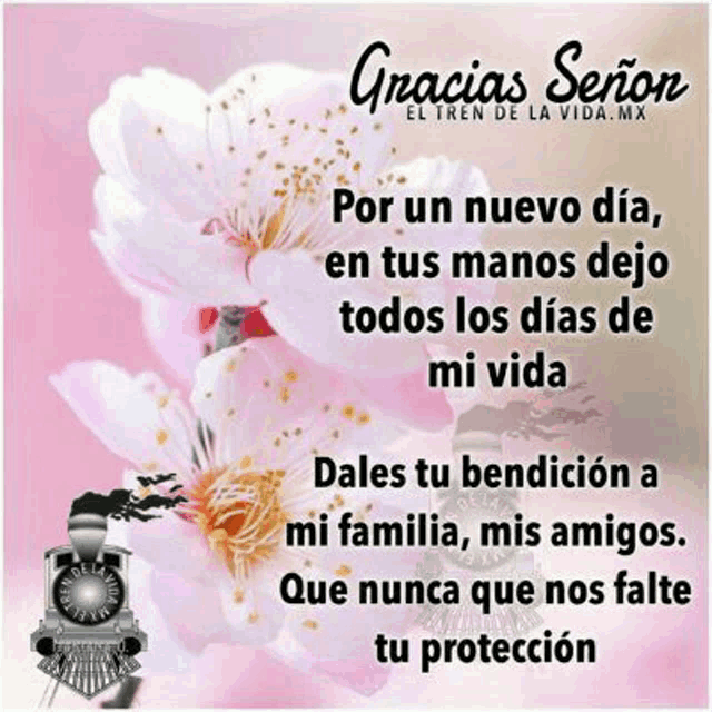 gracias señor por un nuevo dia en tus manos dejo todos los días de mi vida