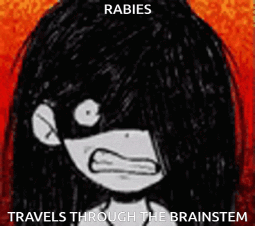 Rabies Omori GIF - Rabies Omori Omori Meme GIFs