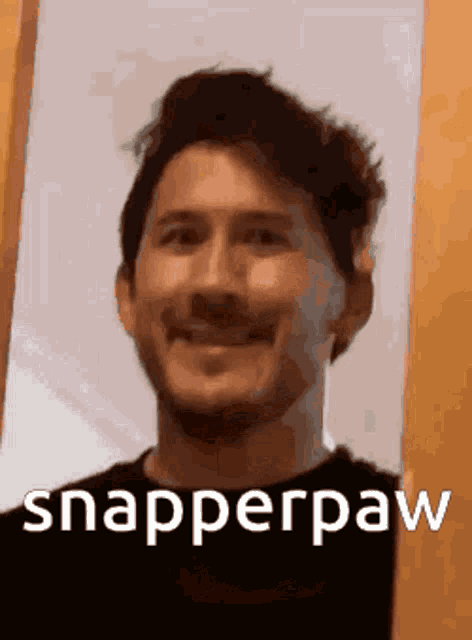Snapperpaw Markiplier GIF - Snapperpaw Markiplier GIFs