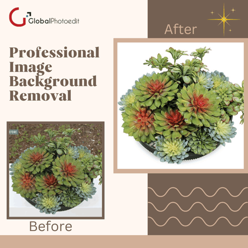 Professional Image Background Removal Company GIF - Professional Image Background Removal Company Image Background Removal Company GIFs