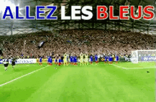 a soccer field with the words allez les bleus written above it