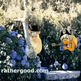 a picture of a cat playing a guitar with the website rathergood.com written on the bottom