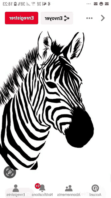 a black and white drawing of a zebra 's head
