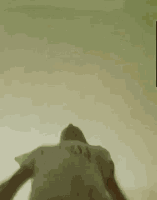 a blurry picture of a person 's shadow on a green background