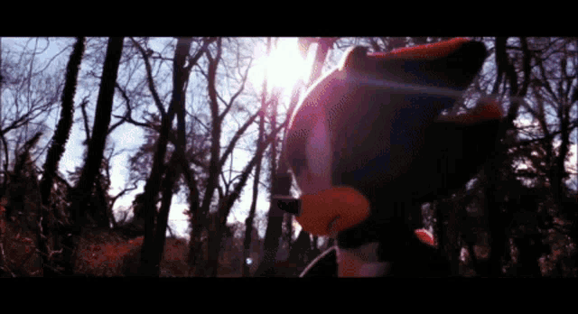 shadow the hedgehog is standing in the woods with the sun shining through the trees behind him