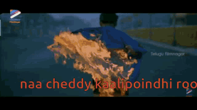 Cheddy GIF - Cheddy GIFs