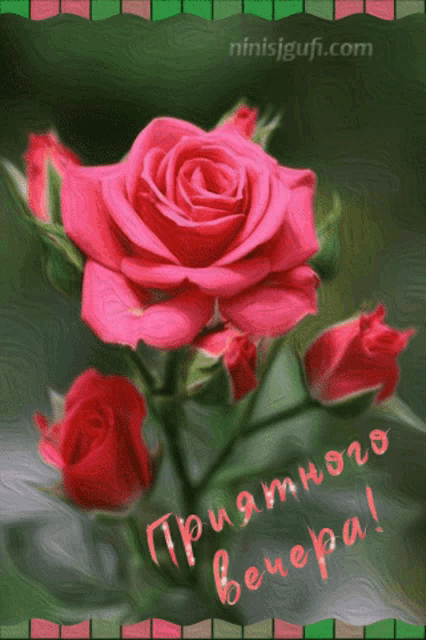 a pink rose is on a green background with the website ninisifufu.com written below it