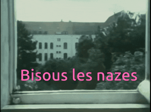 Insulte Bisous GIF - Insulte Bisous Nazes GIFs