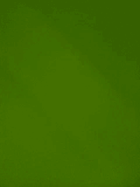 a close up of a green background with a black border .