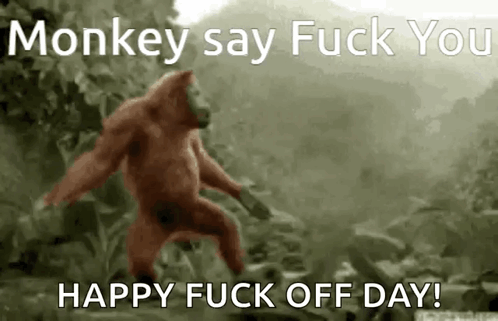 Monkey Say Fuck You GIF - Monkey Say Fuck You GIFs