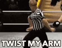 Ref Yes GIF - Ref Yes Wwe GIFs