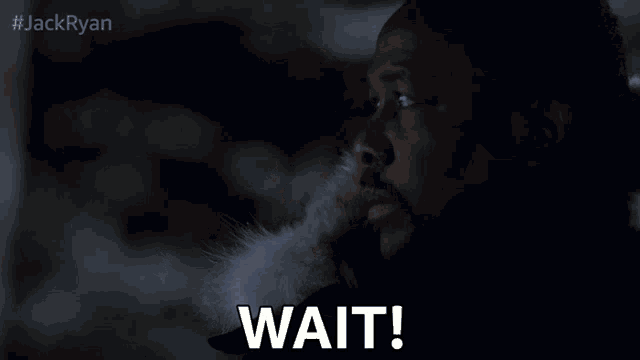 a man in a fur coat says " wait " in a dark room