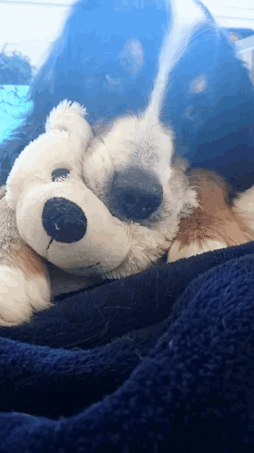 a dog is laying on a blue blanket with a stuffed animal
