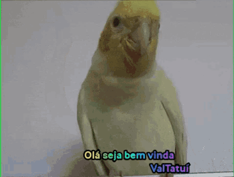 a yellow and white parrot with the words olá seja bem vinda valtatui above it